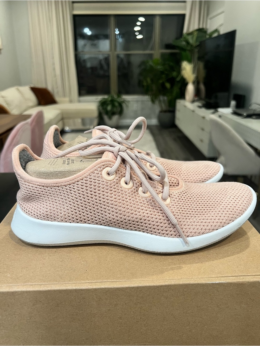Allbirds Lightweight Mesh Lace-Up Sneakers in Blush Pink